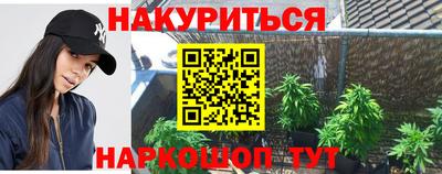 прущие грибы Краснодар