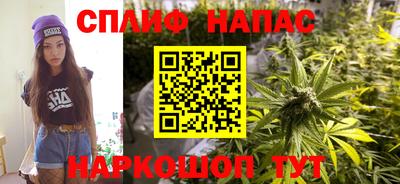 прущие грибы Краснодар