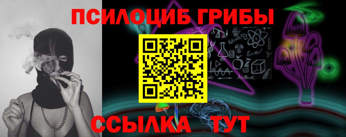 Кимры  Псилоцибиновые грибы MAGIC MUSHROOMS  Псилоцибиновые грибы Psilocybine cubensis  купить закладку  Вход с VPN 